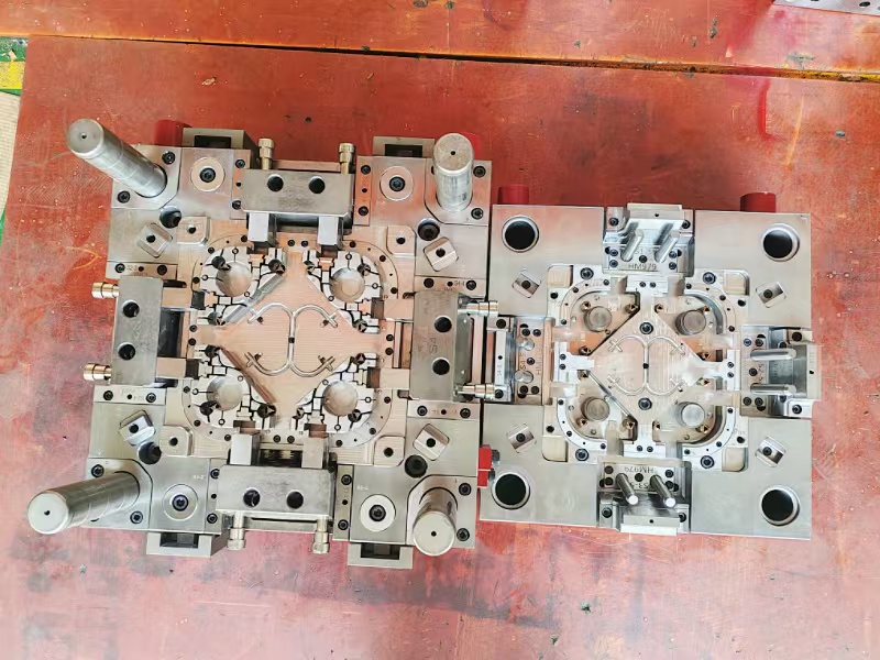 Exchangeable inserts mold - for 5 versions